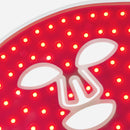 1. Generation / LED Lichttherapie Maske 3