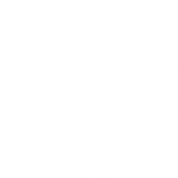 VERITACE®-GARANTIE
