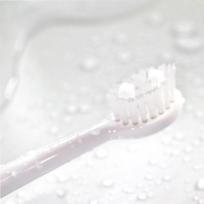 Spotlight Oral Care Sonic Schallzahnbürste + Water Flosser Kit